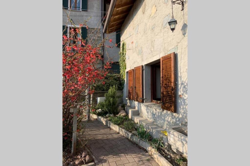 Villa Nido Di Rongio à Mandello del Lario Extérieur photo