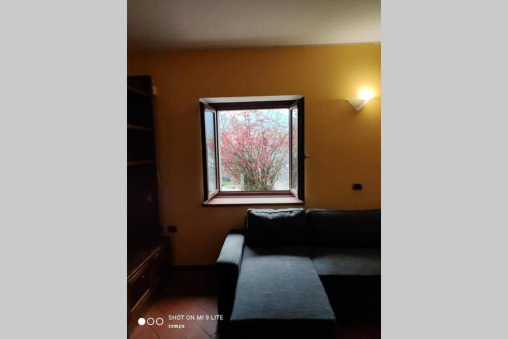 Villa Nido Di Rongio à Mandello del Lario Extérieur photo